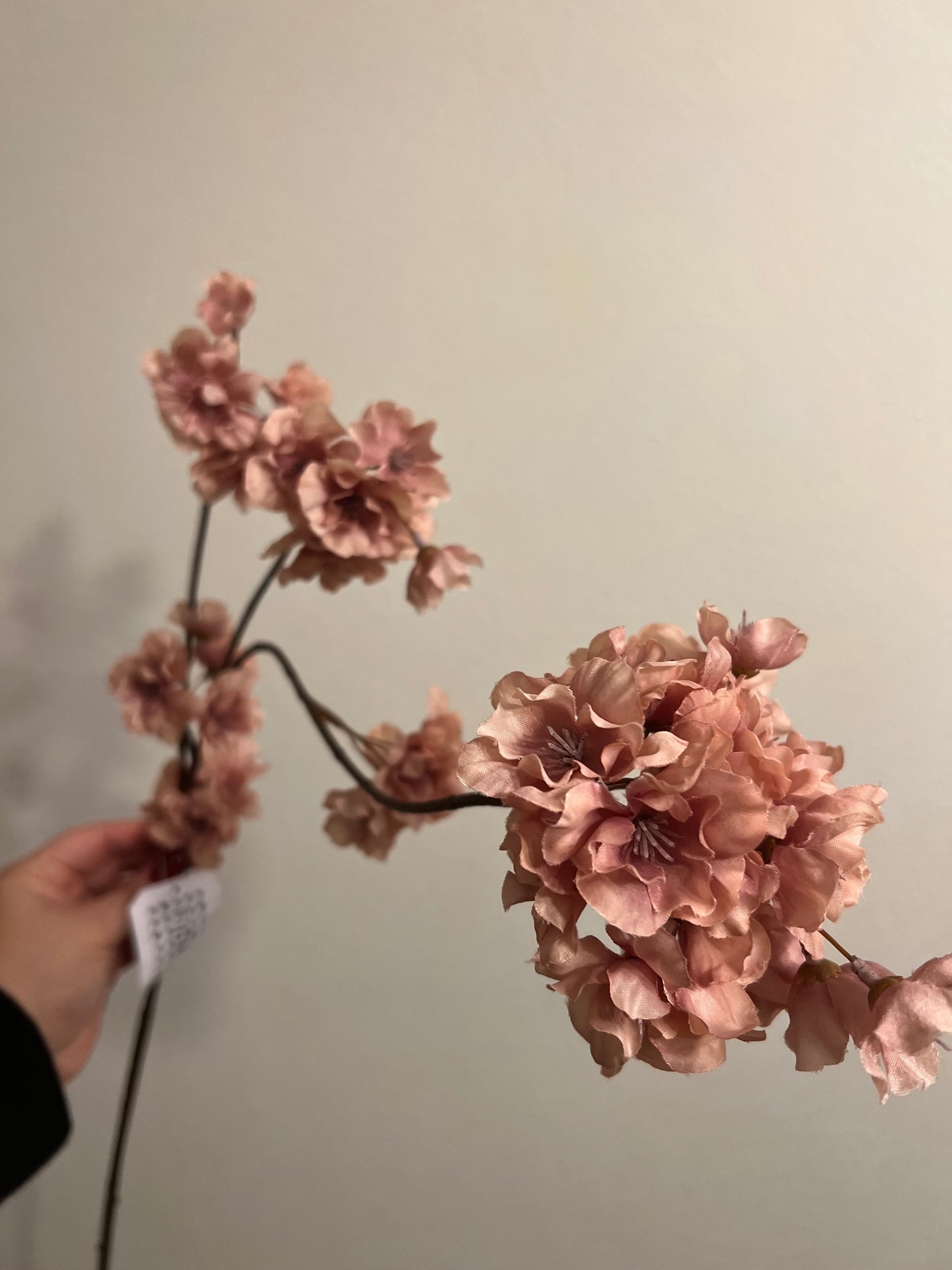 Japanse Bloesem oud roze