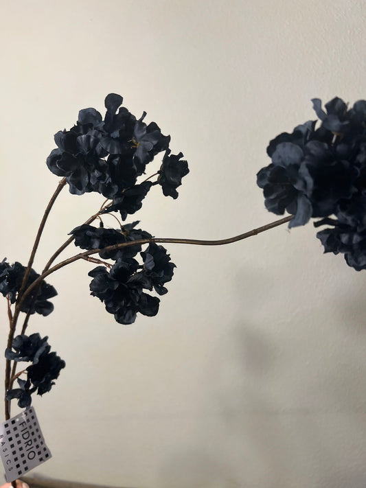 Japanse bloesem zwart zijdebloem